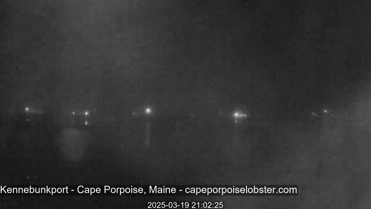 A nighttime, foggy view shows a line of distant lights across a dark landscape.