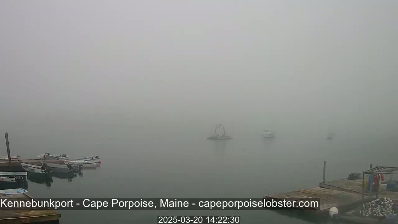 Several small boats are moored at a dock in a thick fog over calm water.