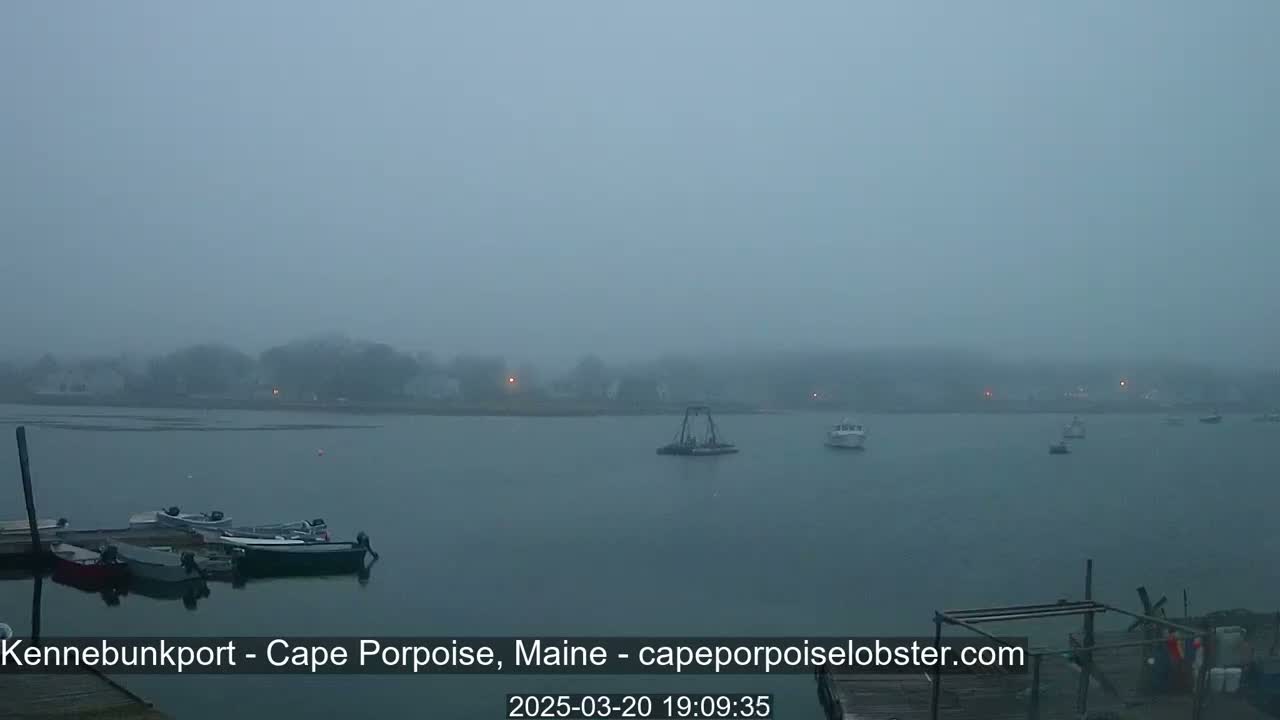 A foggy waterfront scene shows several boats moored at a dock and others on the water in front of a hazy shoreline.