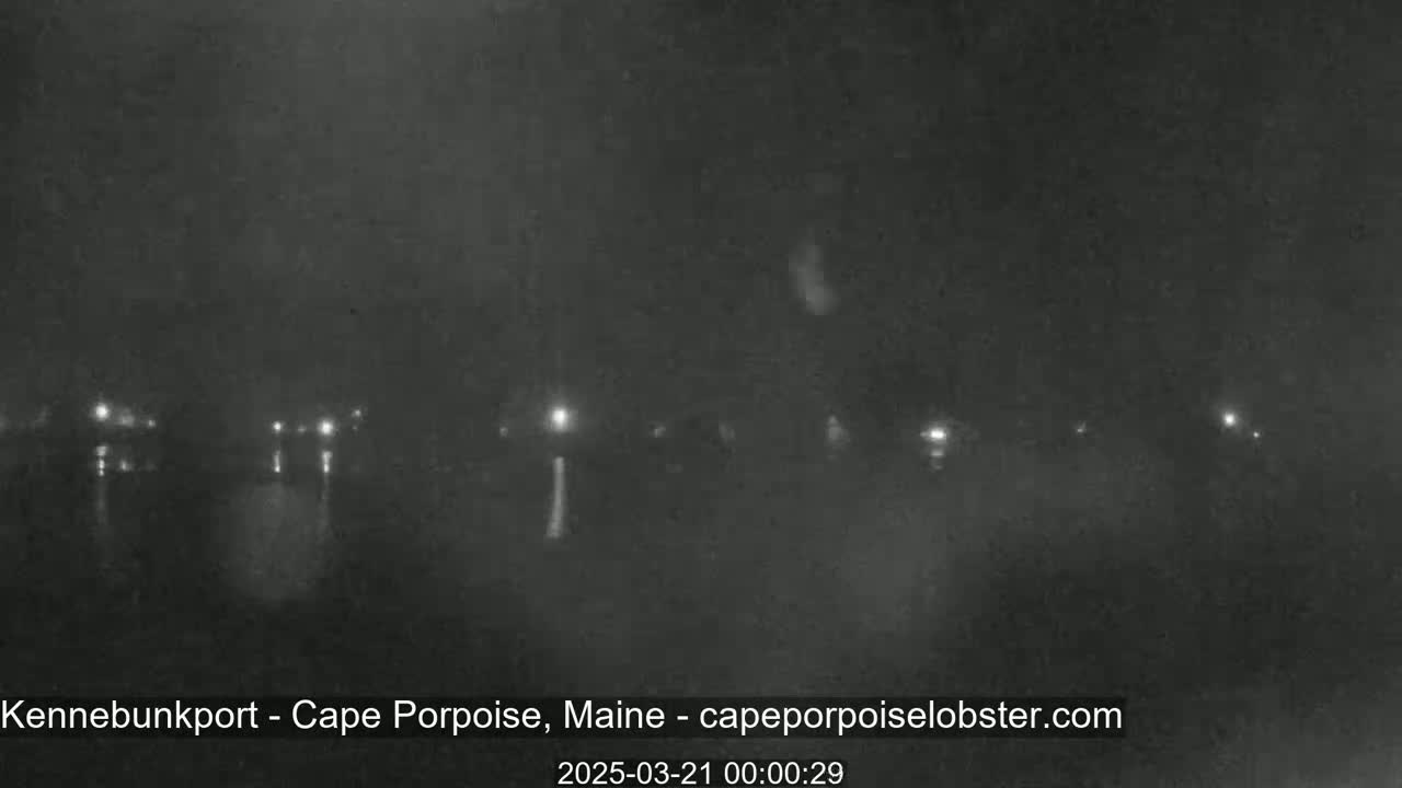 A nighttime, foggy view shows a dimly lit waterfront with several faint lights visible in the distance.