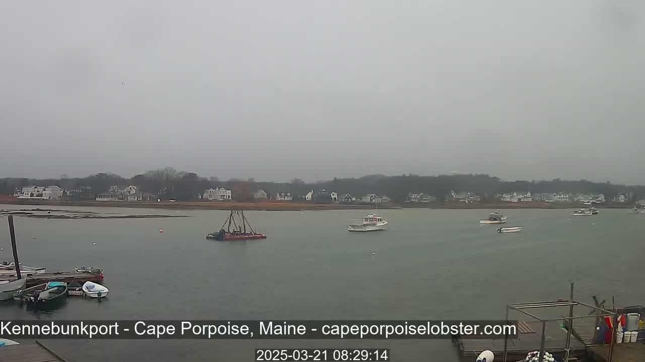 Several boats are in a calm, gray, overcast harbor in front of a shoreline with houses and trees.