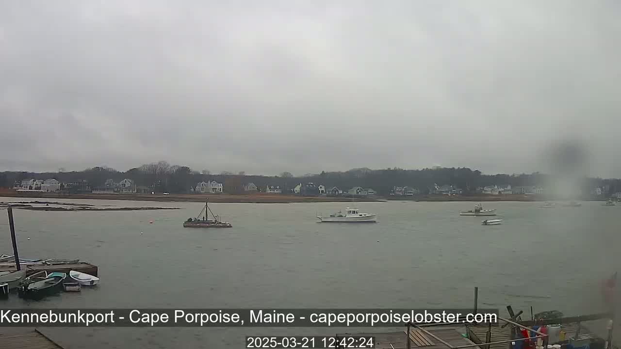 A calm body of water with several boats is seen under an overcast sky, with a shoreline of houses and trees in the background.
