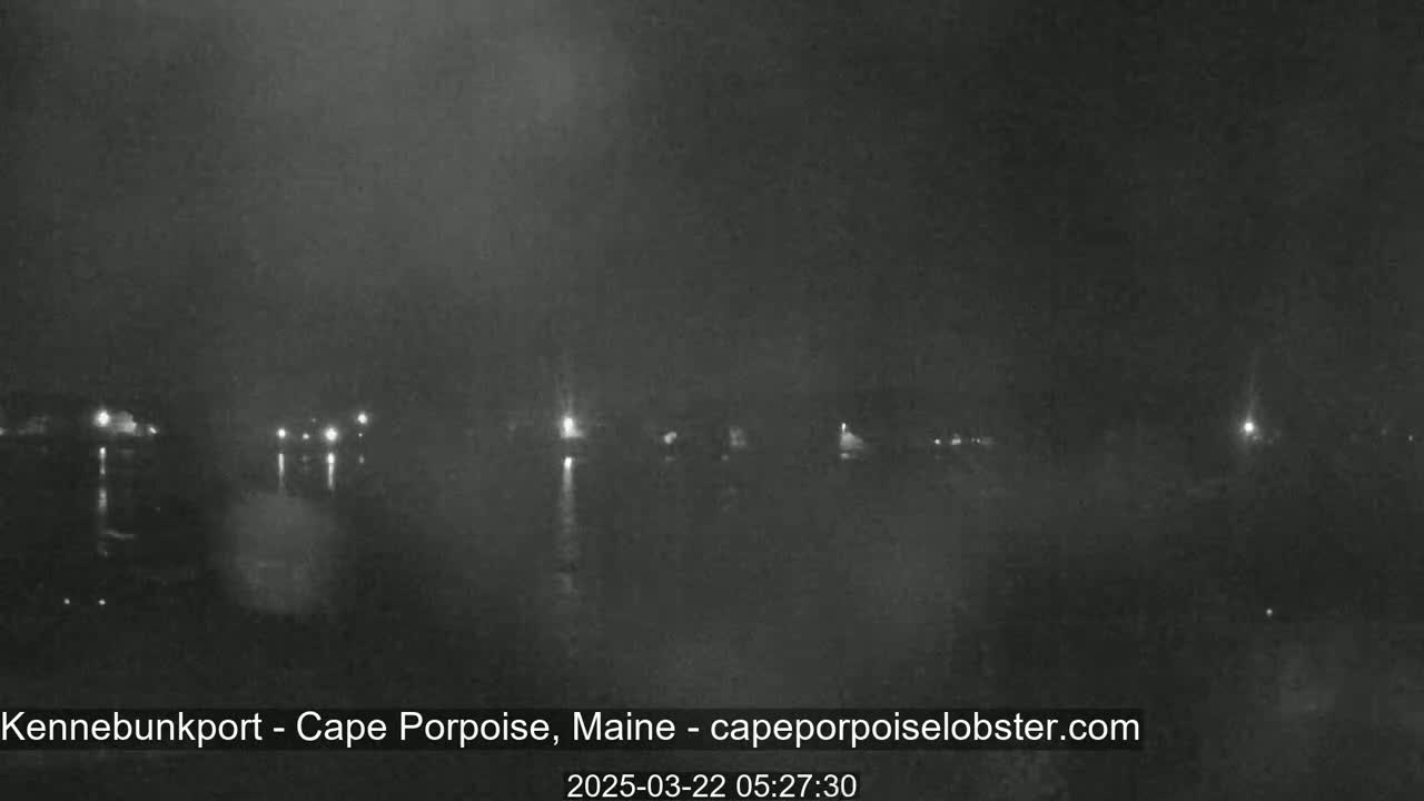A nighttime, foggy view of a body of water with dimly lit buildings and lights in the distance.