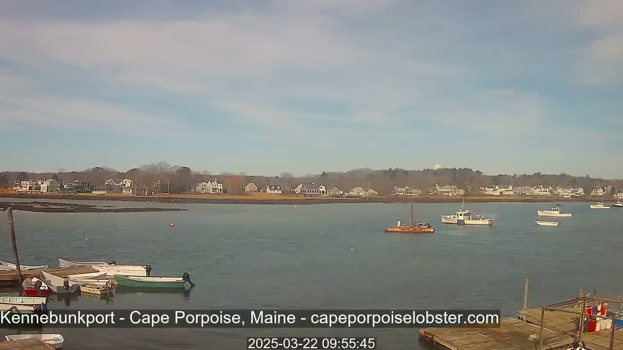 Several small boats are in calm water near a shoreline with houses under a mostly clear sky.