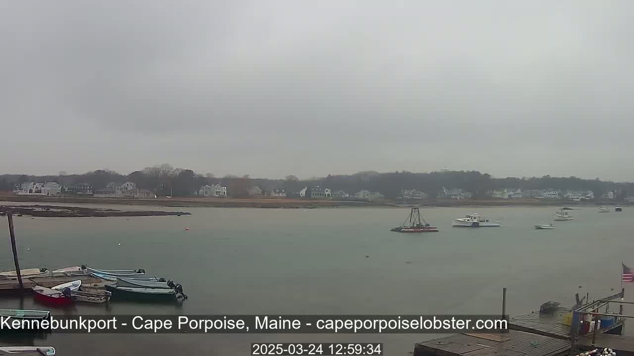 A calm body of water shows several boats moored at a dock in the foreground, with additional boats and a shoreline of houses visible in the distance under an overcast sky.