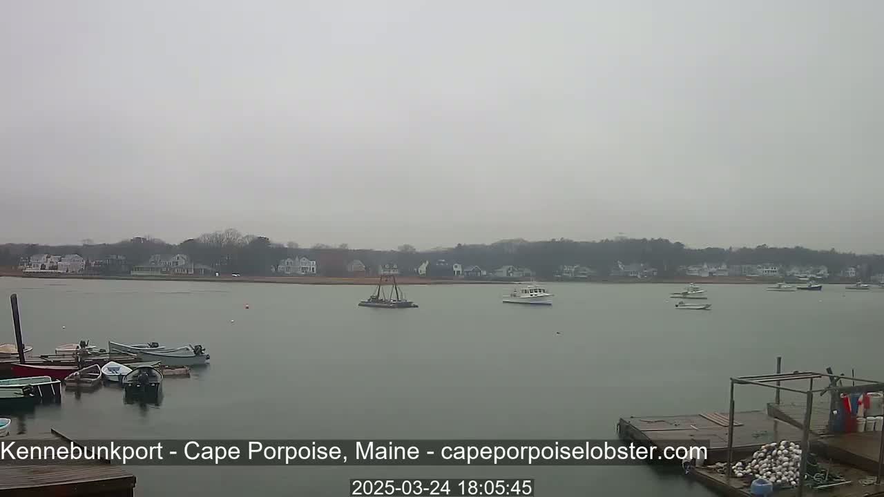 A calm, overcast day reveals several boats moored at a dock in a harbor, with a shoreline of houses and trees visible in the distance.