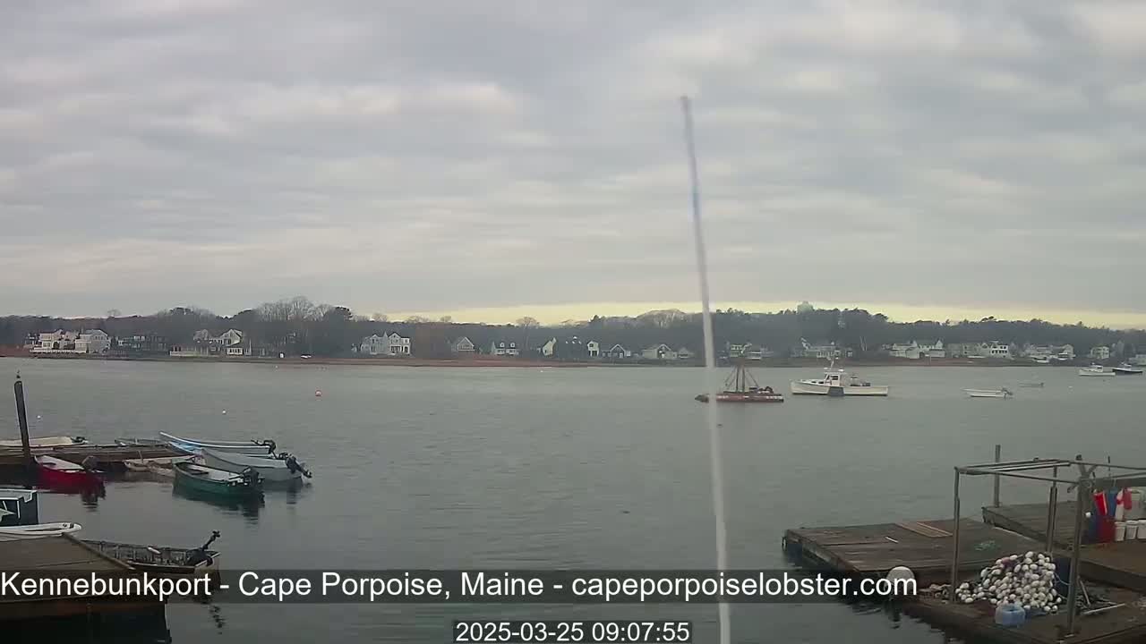 A calm body of water with several boats docked and anchored, under an overcast sky, shows a residential area in the distance.