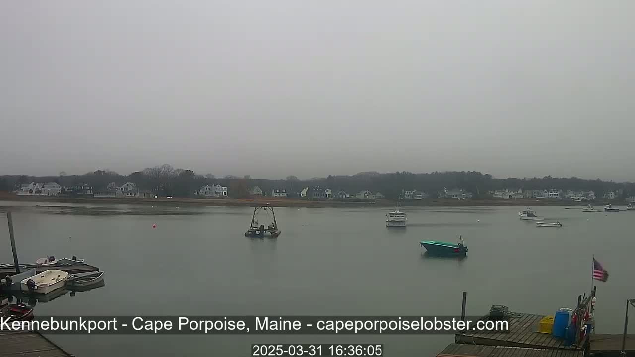Several boats are moored in a calm, gray, overcast harbor, with a shoreline of houses visible in the distance.