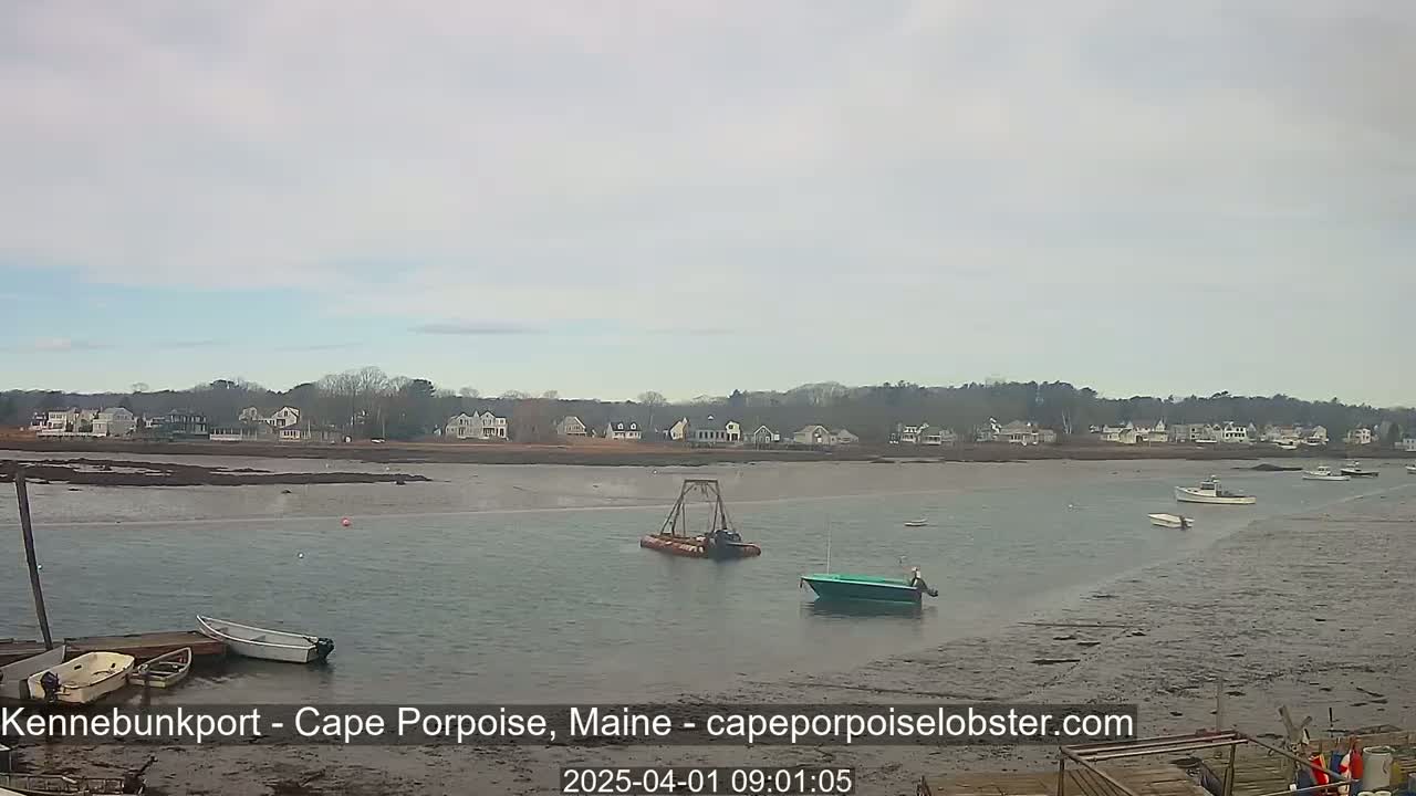Several boats are moored in calm, shallow water near a shoreline with houses under an overcast sky.