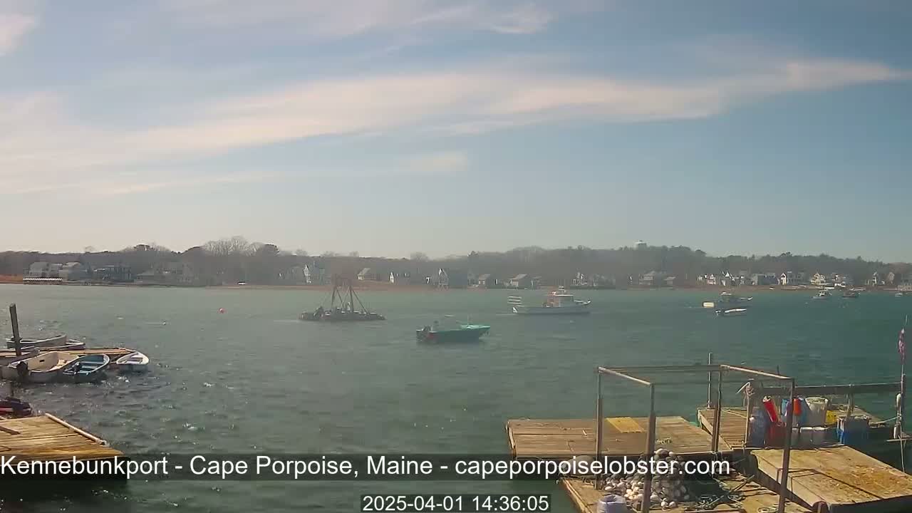 Several boats are moored at a dock on a calm, sunny day with a small town visible across the water.