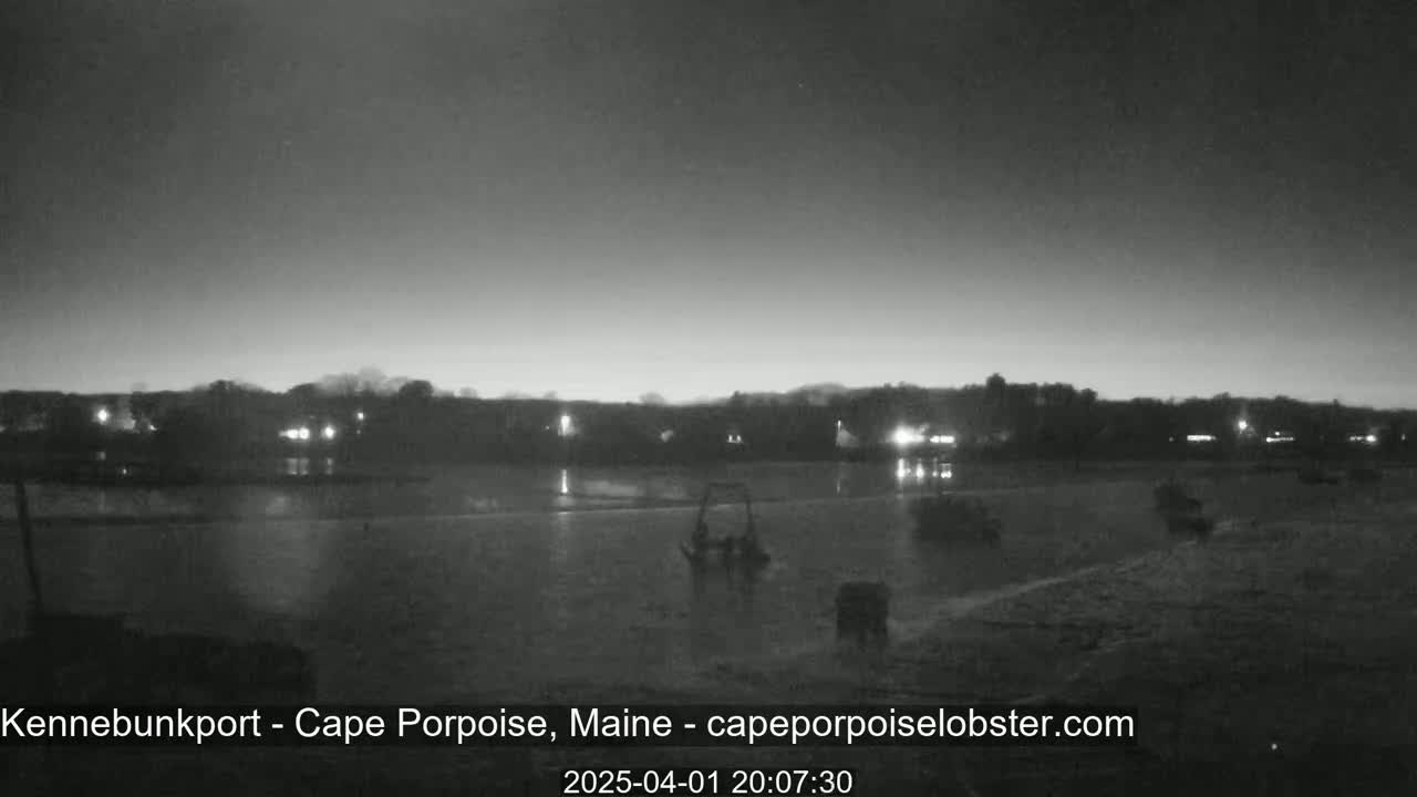 A nighttime, low-light view of a calm body of water with a shoreline featuring sparse vegetation and faint lights from buildings in the distance.