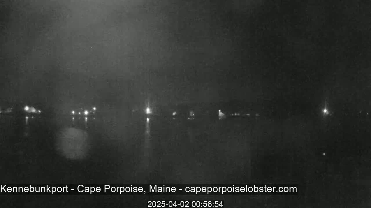 A nighttime, low-light view of a dark body of water with faintly visible lights on the far shore.