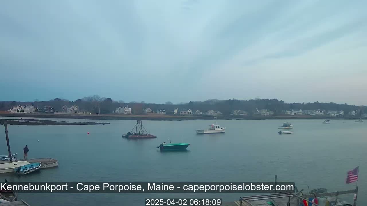 Several small boats are in a calm body of water near a shoreline with houses under an overcast sky.
