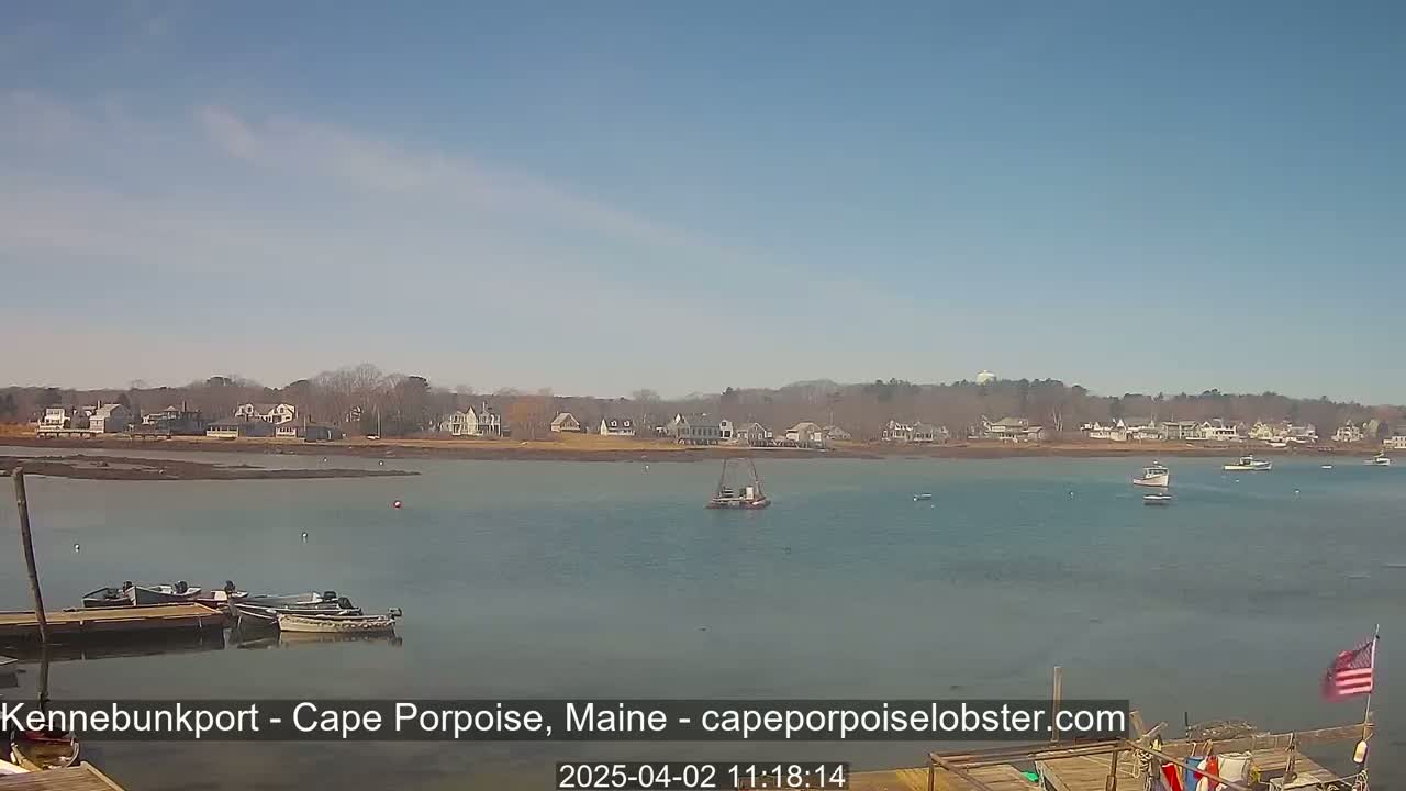 A calm body of water with several small boats and a shoreline of houses under a clear, sunny sky.