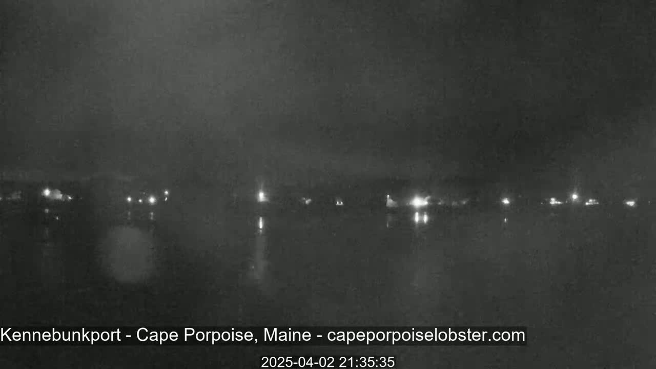A nighttime, dark view of a body of water with faintly visible lights across the far shore under a cloudy sky.