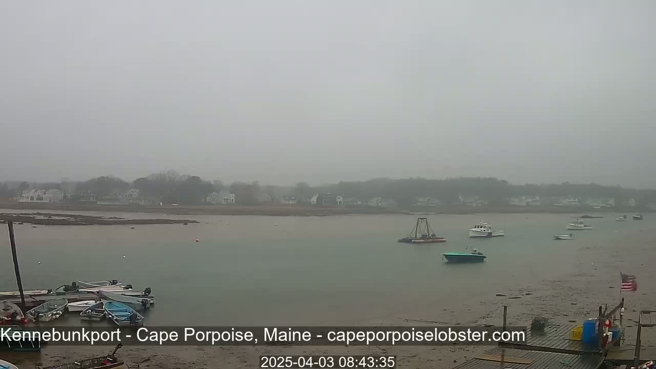 A foggy, overcast day reveals several boats in a calm harbor, with a shoreline of houses and trees in the distance.