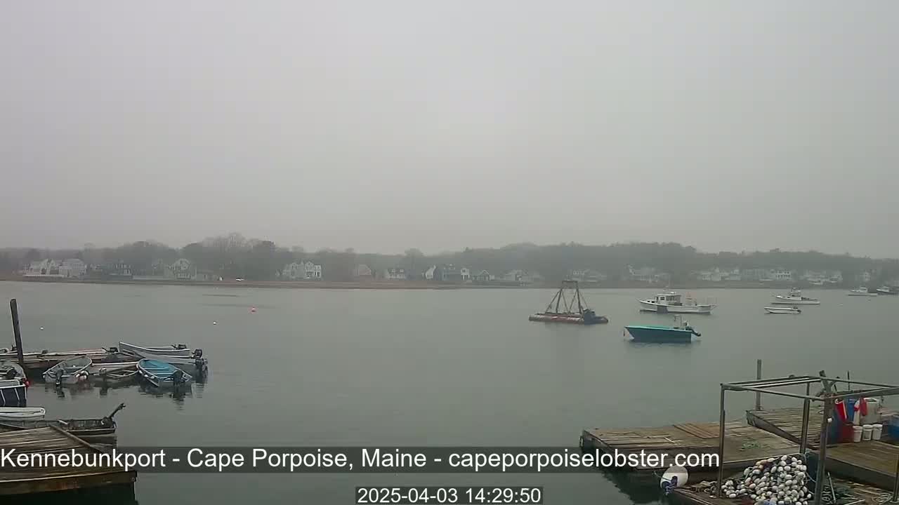Several boats are moored in a calm, foggy harbor, with a shoreline of houses and trees in the background.
