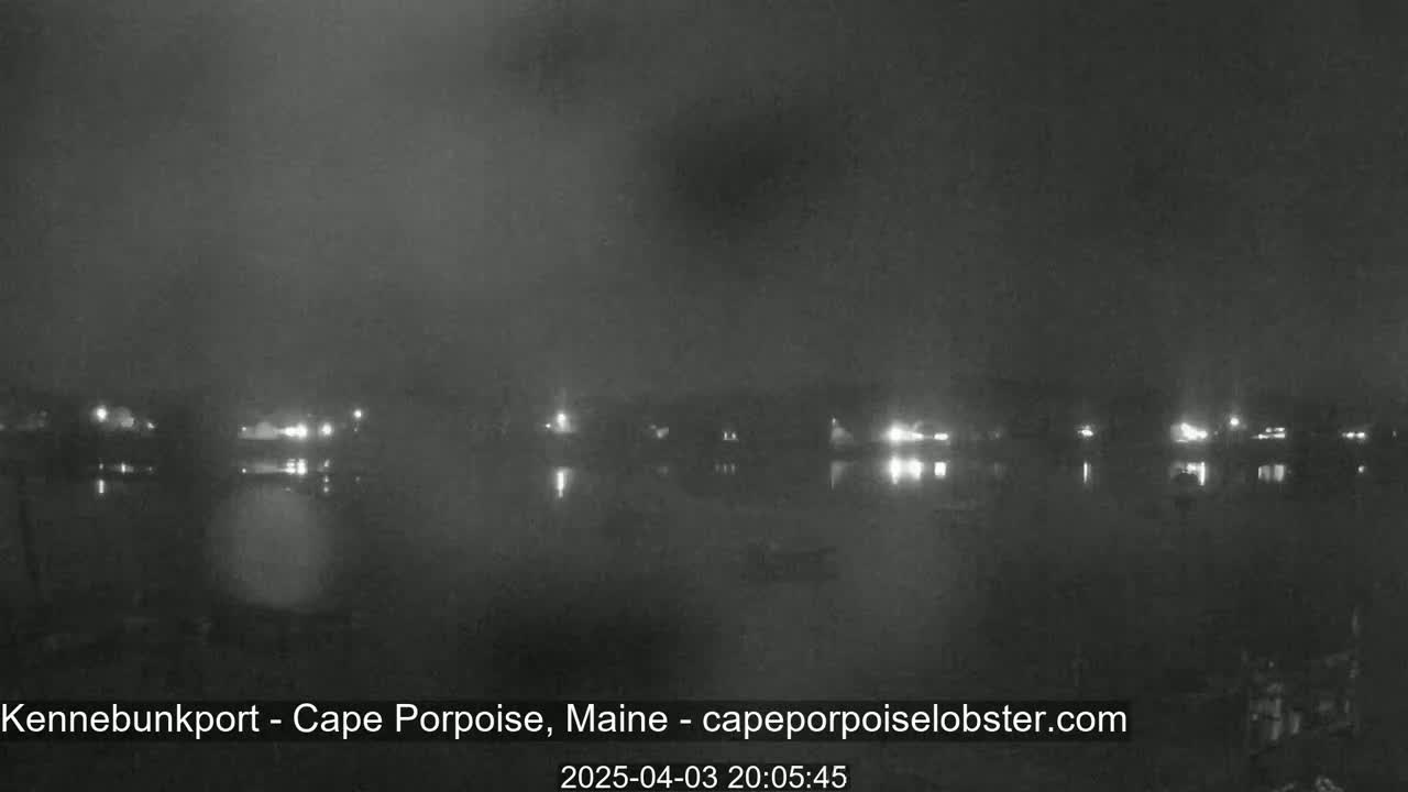 A nighttime, foggy view of a waterfront area with dimly lit buildings and reflections in the water.