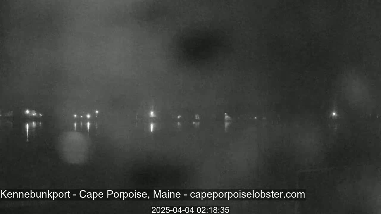 A nighttime, foggy view of a body of water with faintly visible lights on the far shore.
