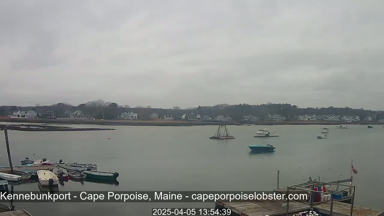 A calm body of water with numerous small boats and a few larger vessels, under an overcast sky, shows a shoreline with houses and trees in the distance.