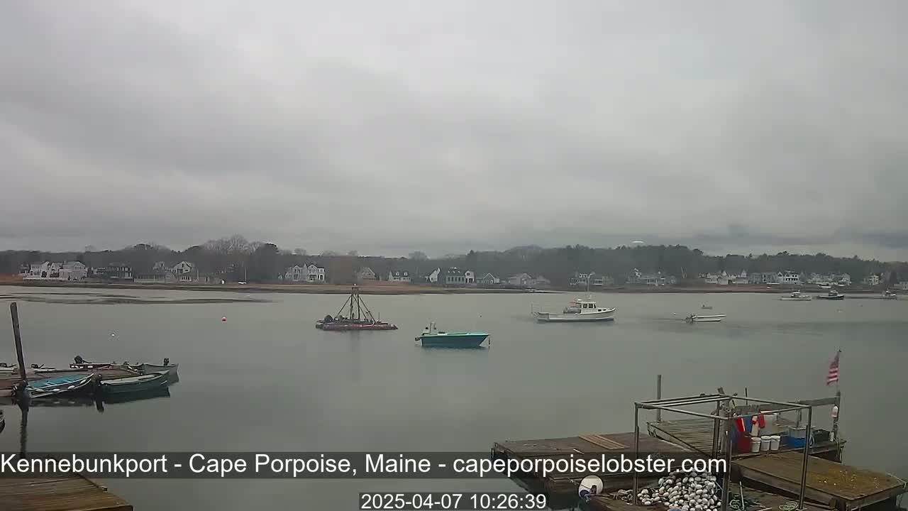 Several boats are moored at a dock in a calm harbor under an overcast sky, with a small town visible in the background.
