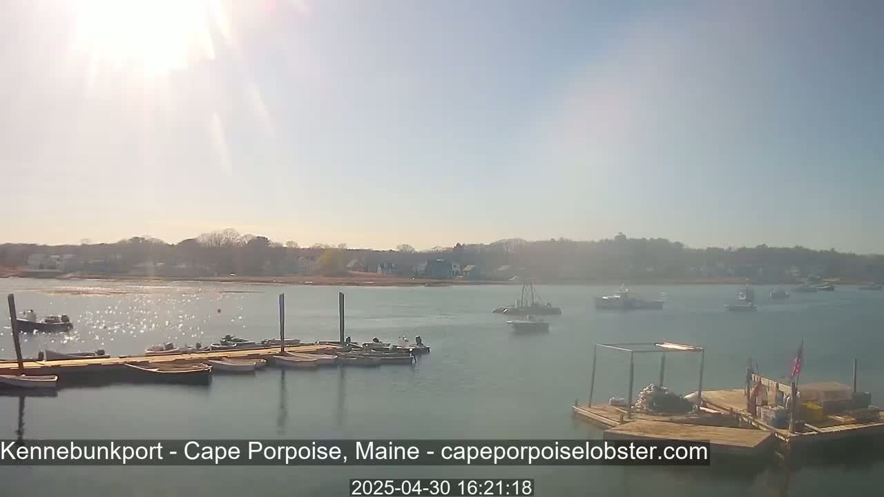 A sunny day shows a calm body of water with several boats docked at a pier and more boats anchored further out, a shoreline with buildings in the background.