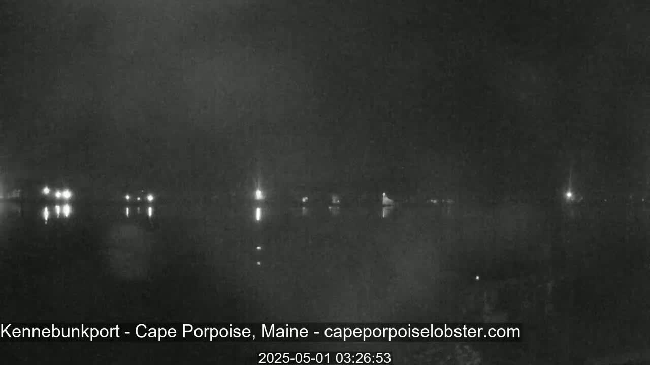 A nighttime, low-light view of a calm body of water with faint lights visible on the opposite shore.