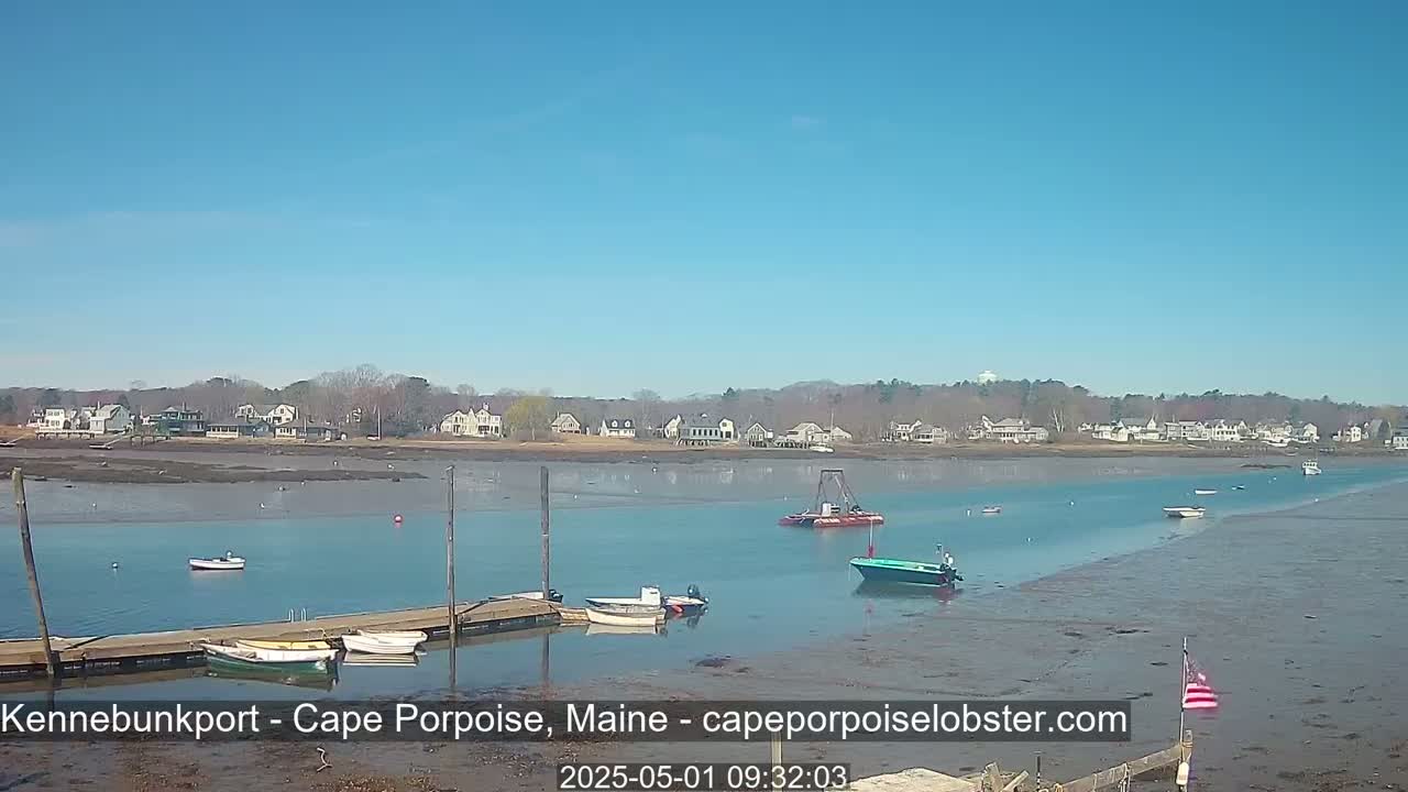Several boats are moored at a dock in calm, shallow water on a sunny day, with a shoreline of houses visible in the distance.