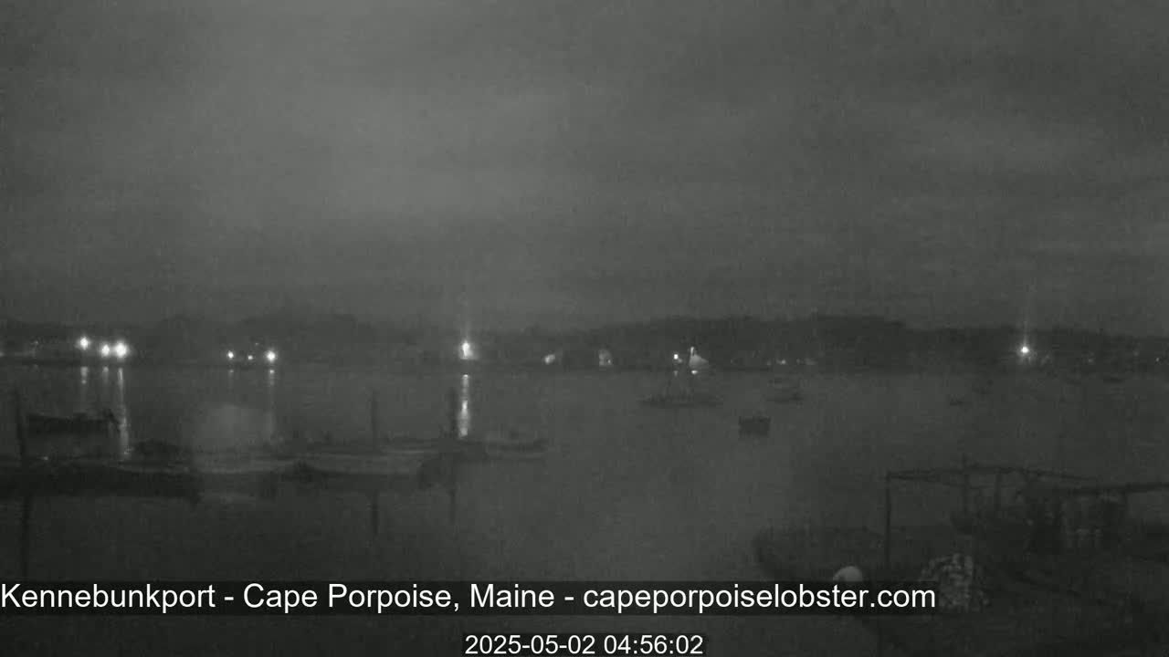 A dark, nighttime view of a calm body of water with boats docked, and a dimly lit shoreline in the background.