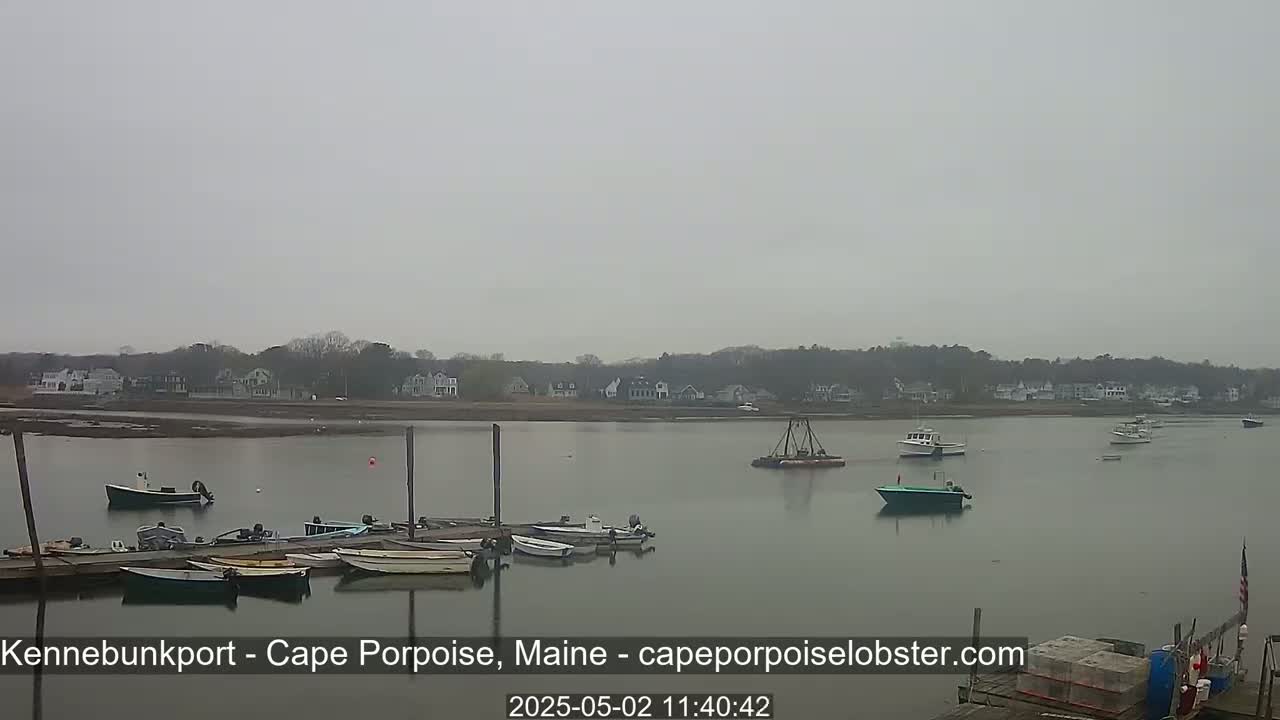 Several boats are moored at a dock on a calm, overcast day, with additional boats visible on the water in the background, near a shoreline with houses.