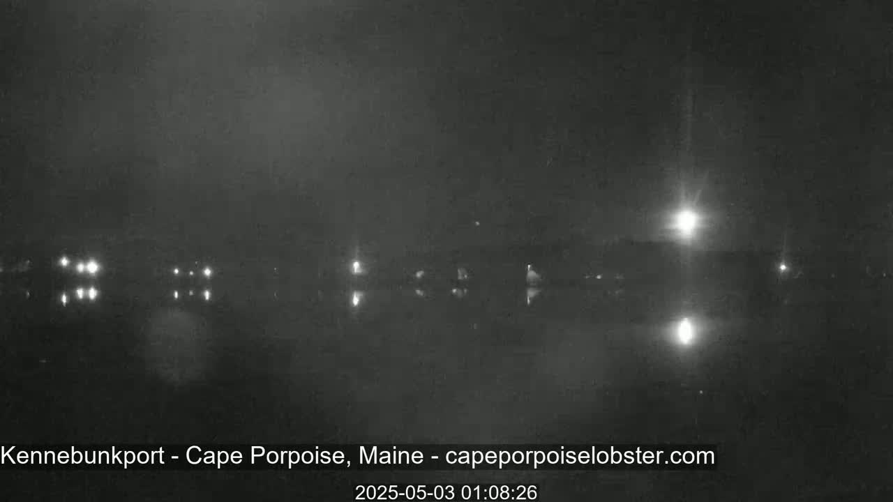A nighttime, foggy view shows distant lights from a town or city.