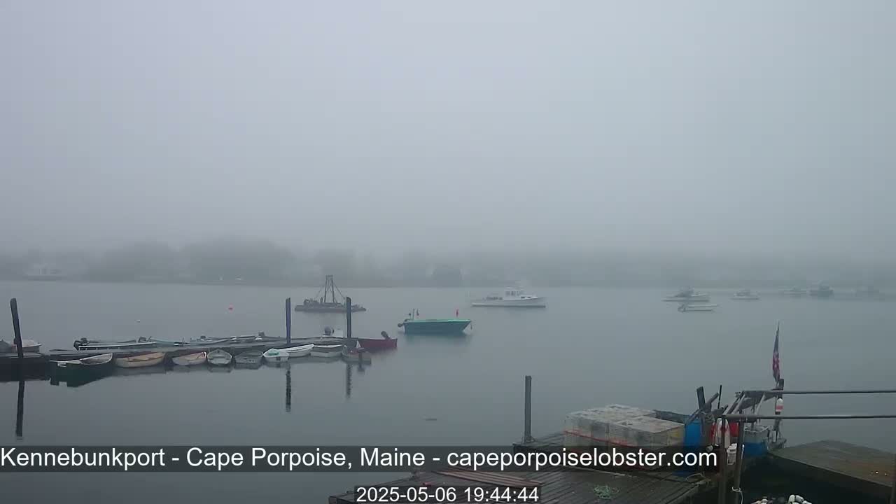 Several boats are moored at a dock on a foggy body of water, with additional boats visible further out in the mist.