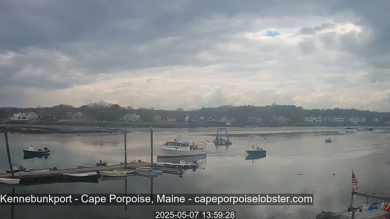Several boats are moored at a dock in a calm bay under a mostly cloudy sky, with a line of houses visible in the distance.