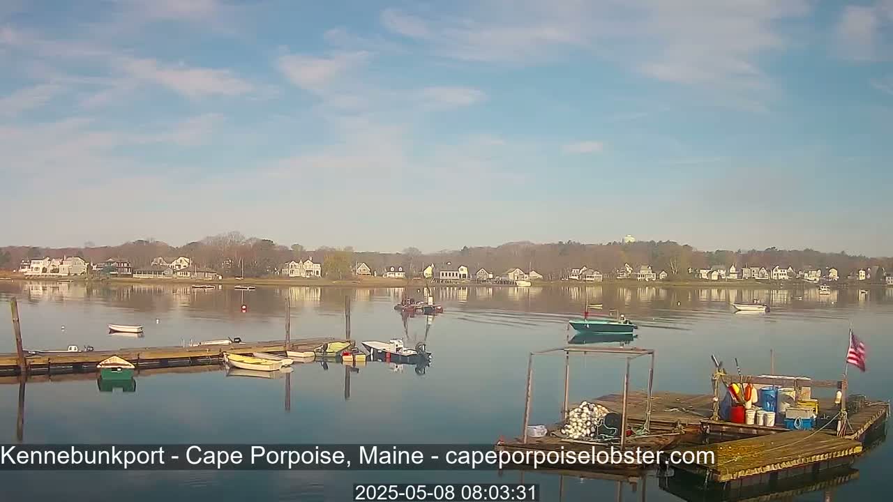 Several small boats are moored at a dock on calm water, with a residential area visible across the river under a mostly clear sky.