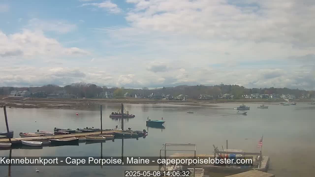 A calm body of water with several boats docked and moored, a few small boats are moving in the distance, under a partly cloudy sky.