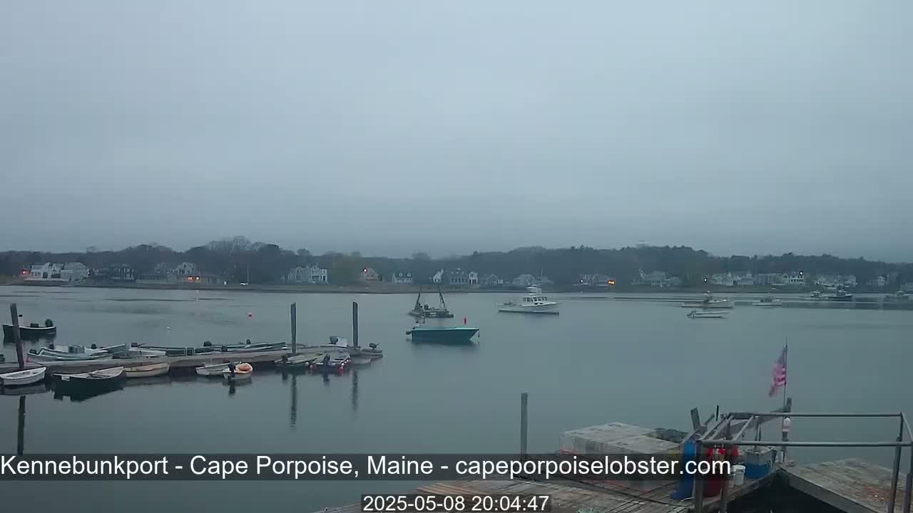 Several boats are moored at a dock in a calm, overcast harbor, with a shoreline of houses visible in the distance.
