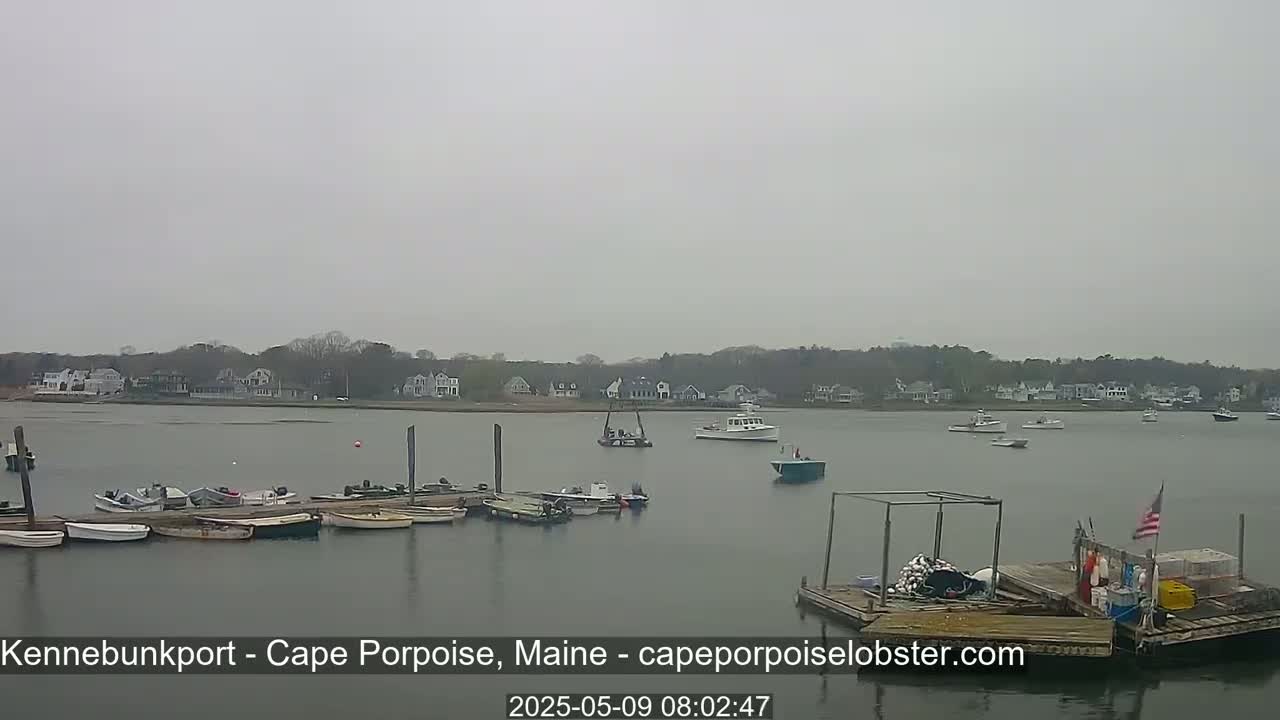 Several boats are moored at a dock in calm, overcast waters, with additional boats and a shoreline of houses visible in the distance.