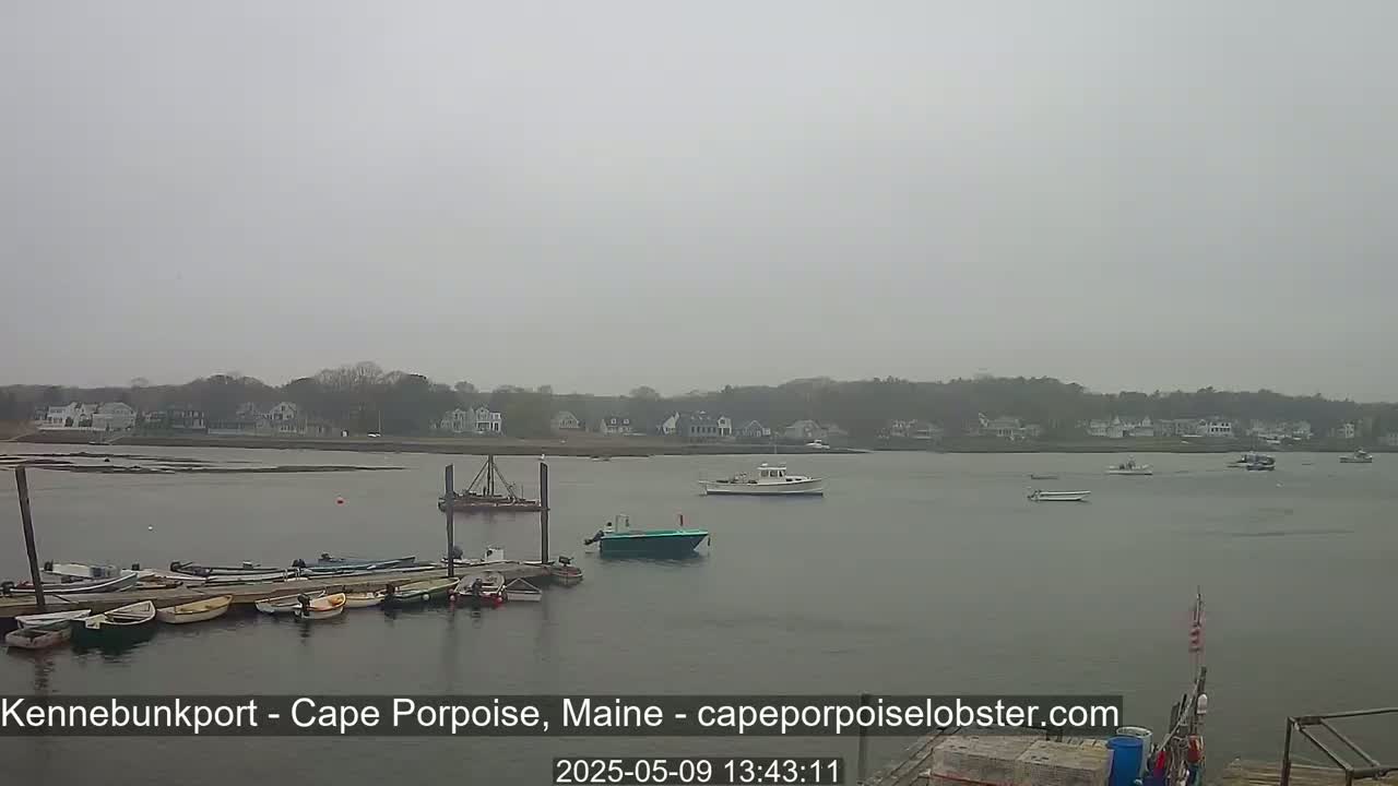 A hazy, overcast day reveals a calm body of water with several boats docked and others sailing past a shoreline of houses and trees.