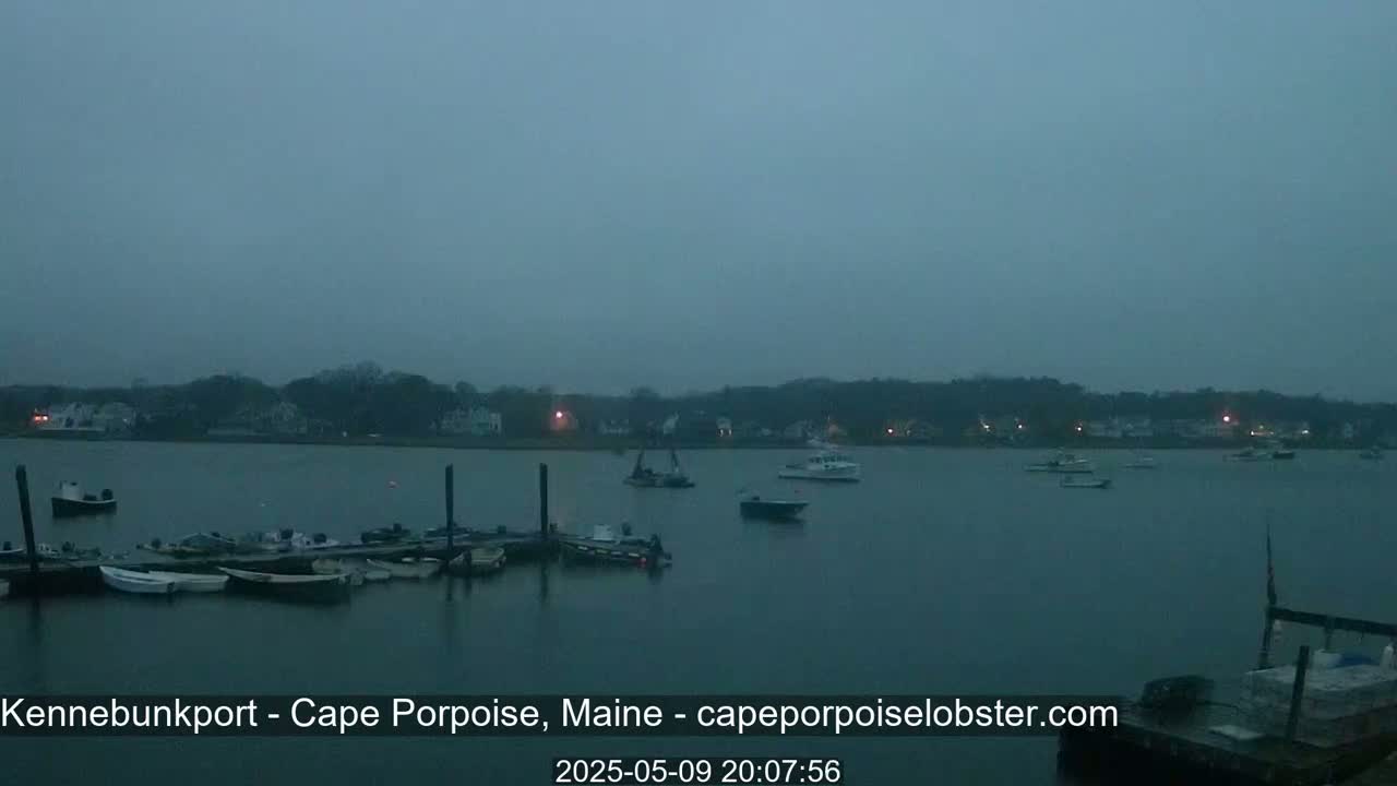 Several boats are moored at a dock in a calm, dark-grey body of water under an overcast sky, with a shoreline of houses and trees in the background.