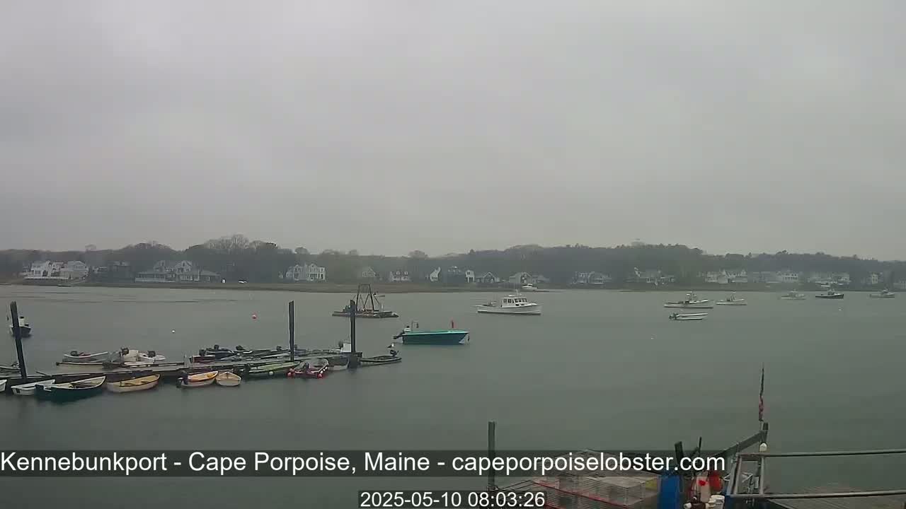 Several boats are docked at a pier near a calm body of water under an overcast sky, with houses visible across the water.