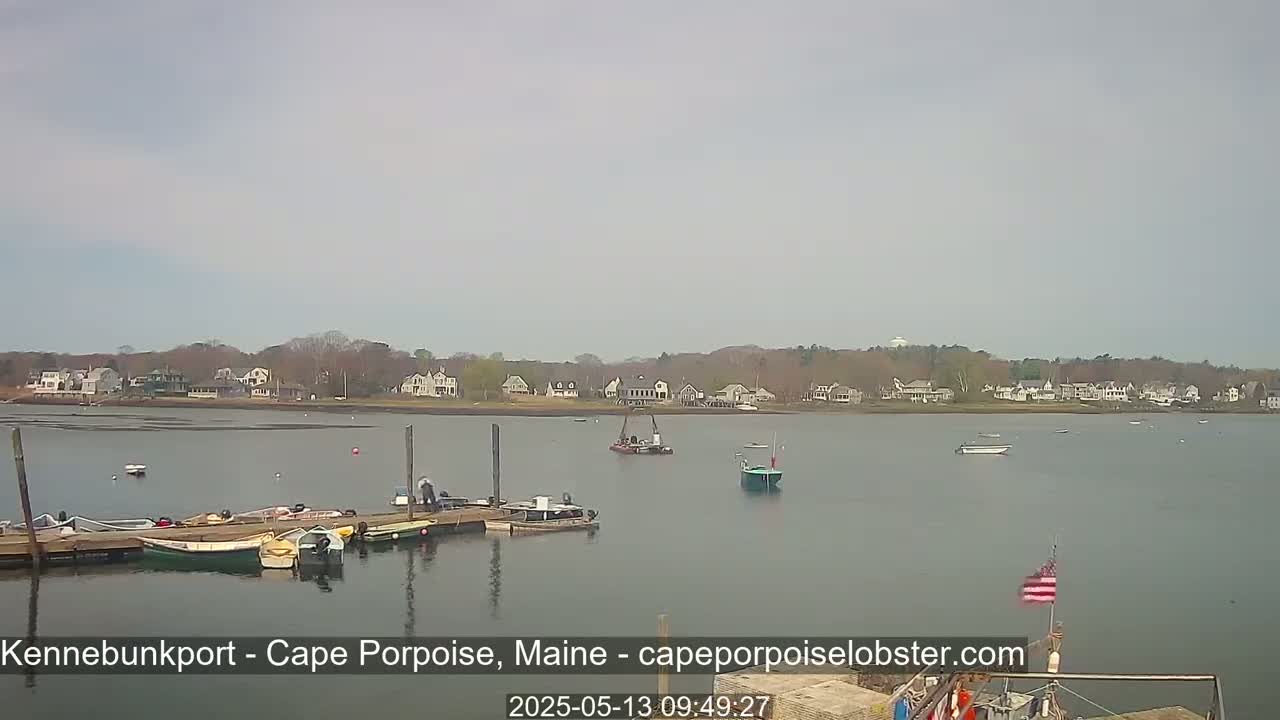 A calm body of water with several small boats docked and a few others underway, overlooks a shoreline of houses nestled among trees under an overcast sky.