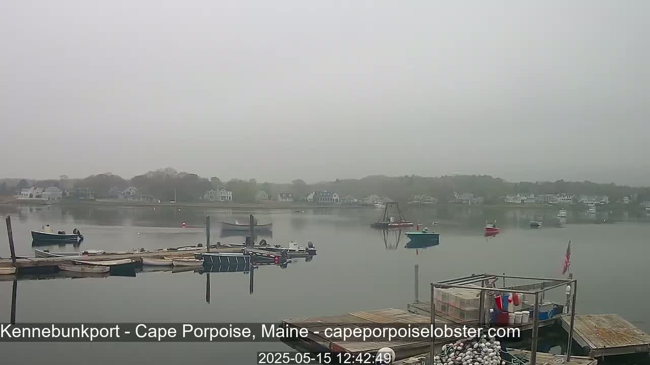 Several small boats are moored at a dock on a calm, foggy body of water, with a small town visible in the background.