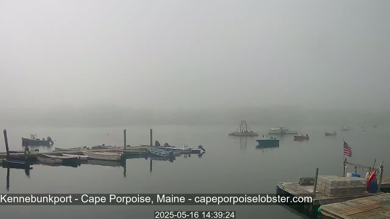 Several small boats are moored at a dock in a foggy harbor.
