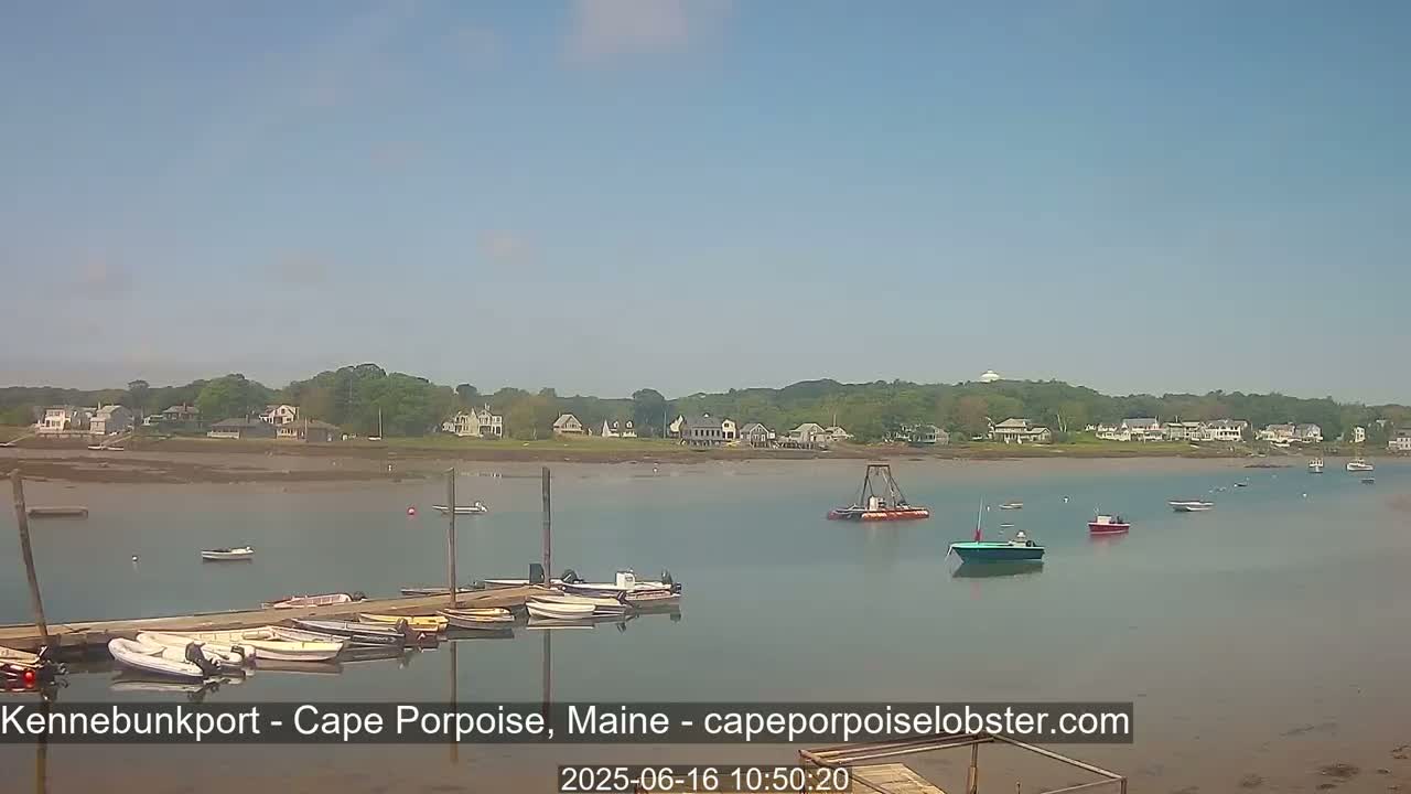 Under a clear blue sky, several small boats are docked at a pier overlooking a calm body of water with a few other boats further out, and a shoreline of houses and trees in the background.