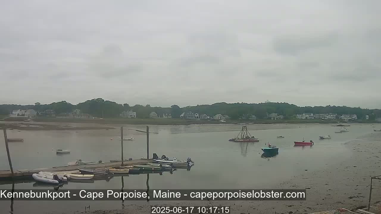 Several boats are moored at a dock in a calm body of water under an overcast sky, with a shoreline of houses and trees in the background.