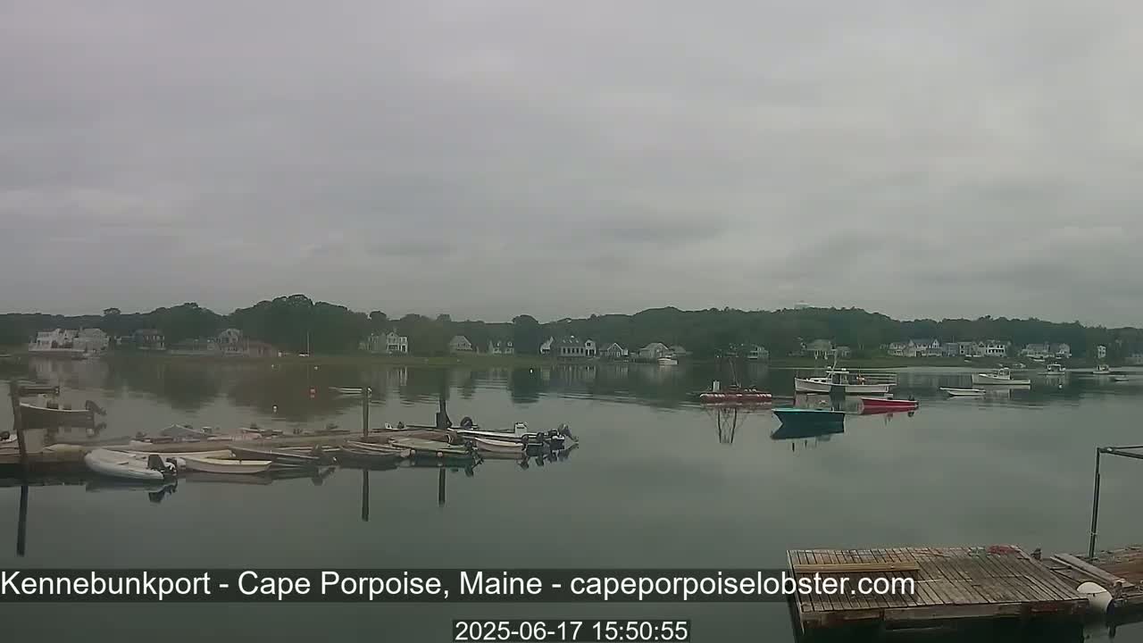 Several boats are moored at a dock on a calm body of water under an overcast sky, with houses visible on the far shore.