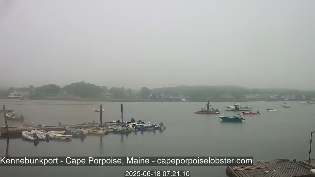 Several boats are docked at a pier on a foggy waterway with a shoreline of houses and trees in the distance.