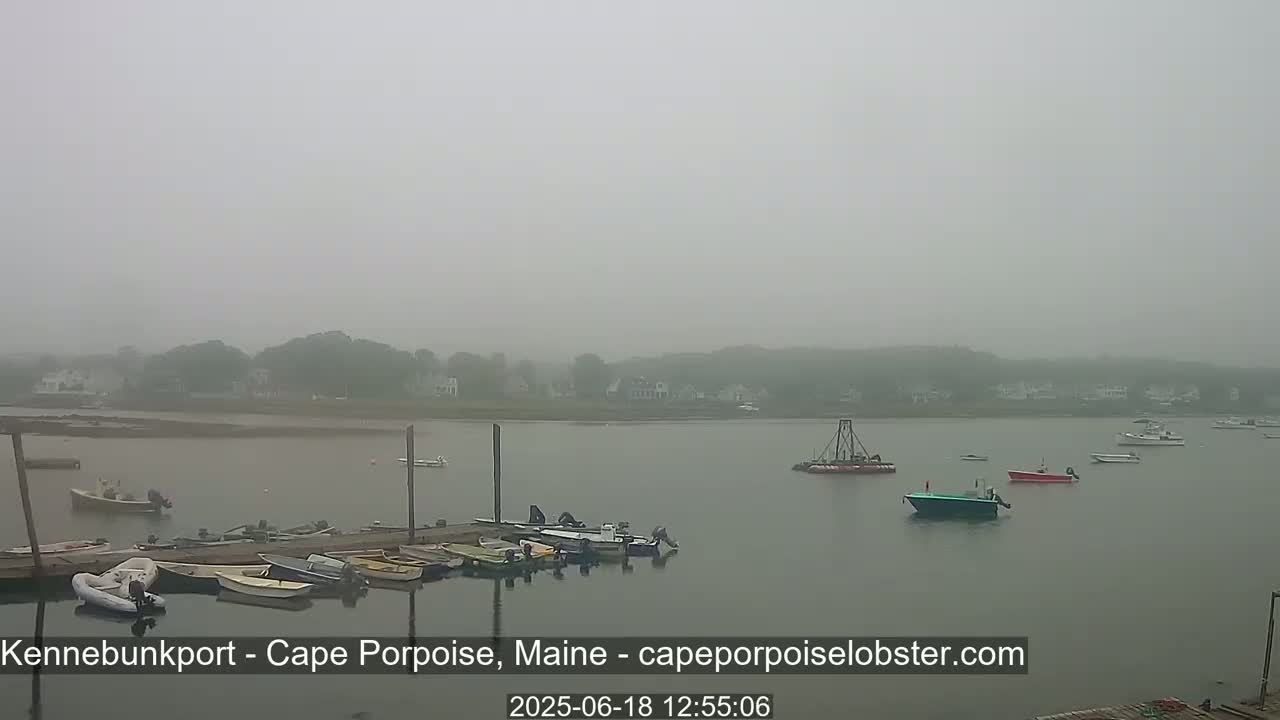 A foggy harbor scene shows several boats moored at a dock, with additional boats on the water in the midground and background.