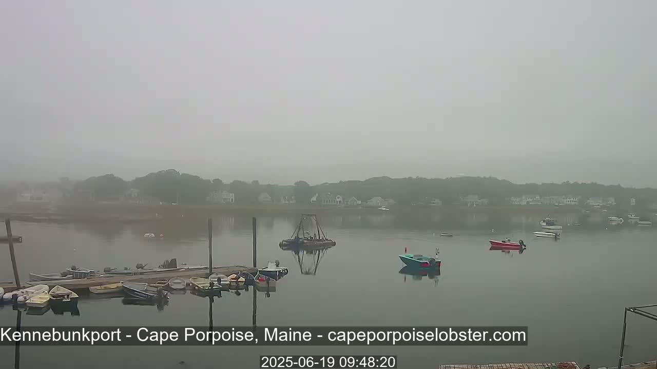 A foggy harbor scene shows several small boats docked and in the water, with a shoreline of trees and houses visible in the distance.