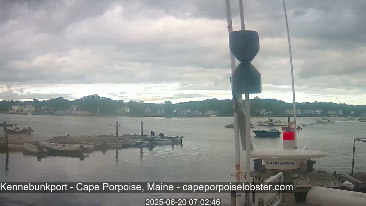A calm body of water with numerous small boats moored at a dock, under an overcast sky, shows a shoreline with houses in the background.